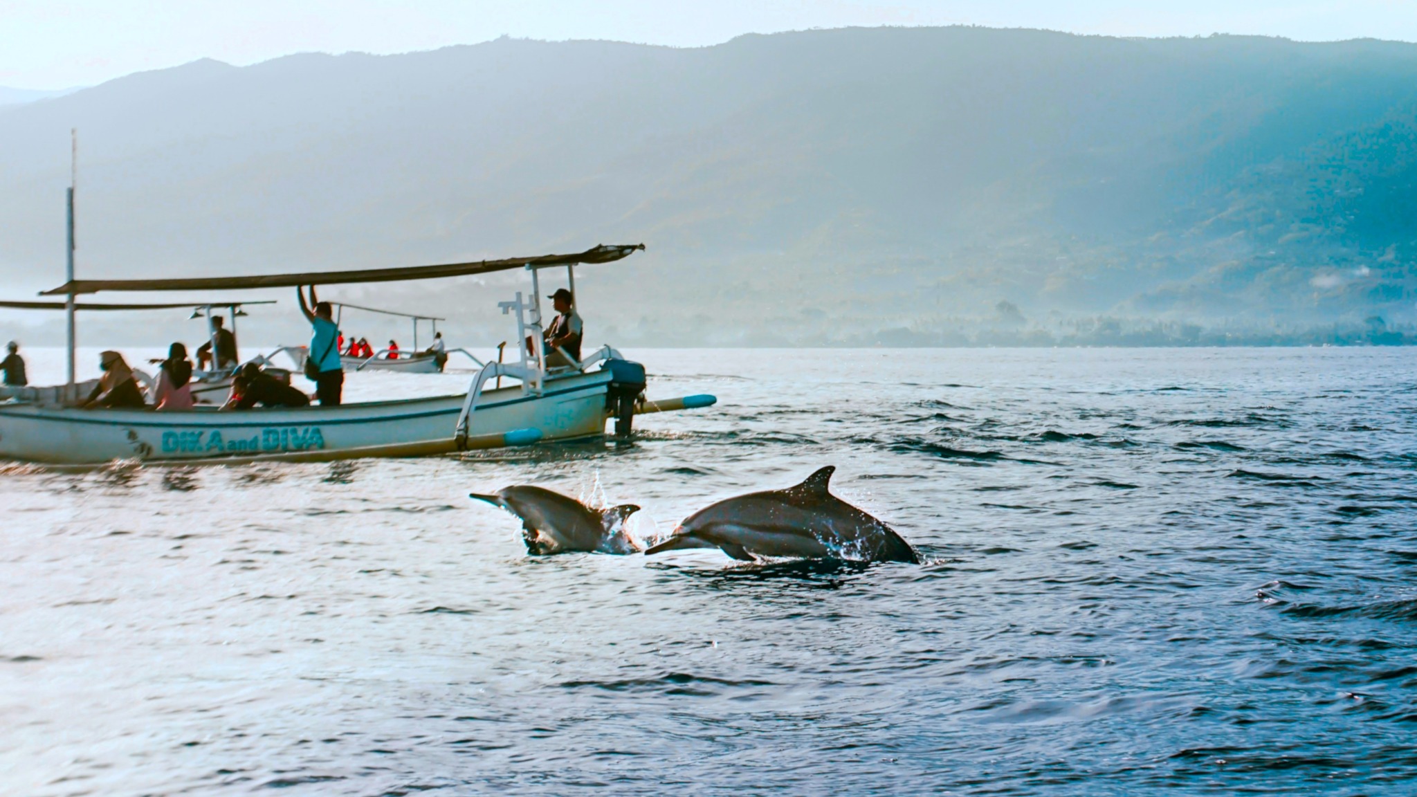 Lovina Dolphin Sunrise